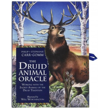 The Druid Animal Oracle Cards and Book set Orange Hippo